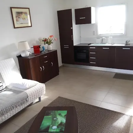 Lecci St Cyprien Don Andria *