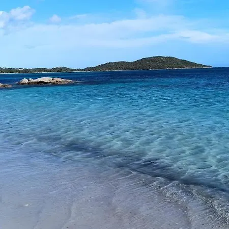 Appartement Lecci St Cyprien Don Andria *