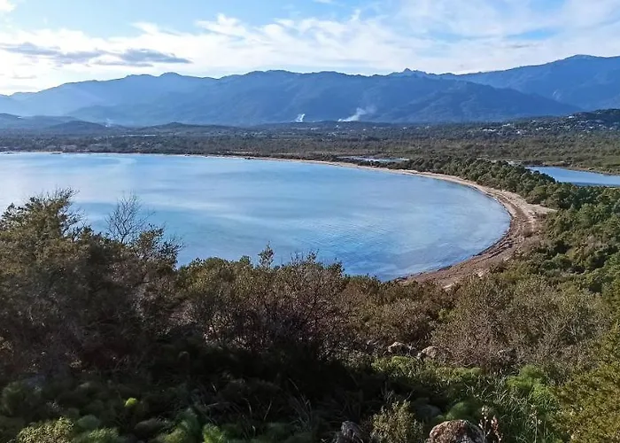 Lecci St Cyprien Don Andria *