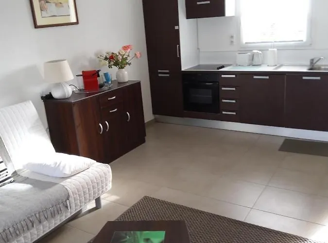 Lecci St Cyprien Don Andria *