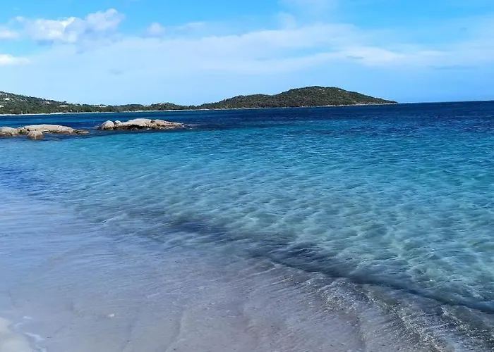 Апартаменты Lecci St Cyprien Don Andria *